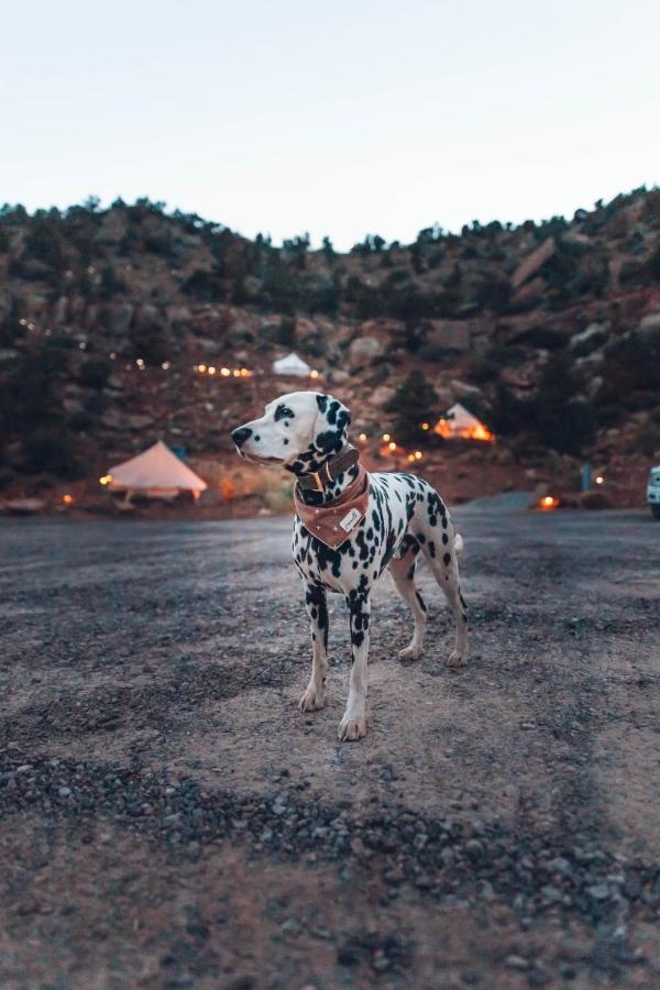 Zion Glamping Adventures Hotel Hildale Exterior foto